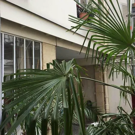 Quiet And Confortable In The Center Of Apartment